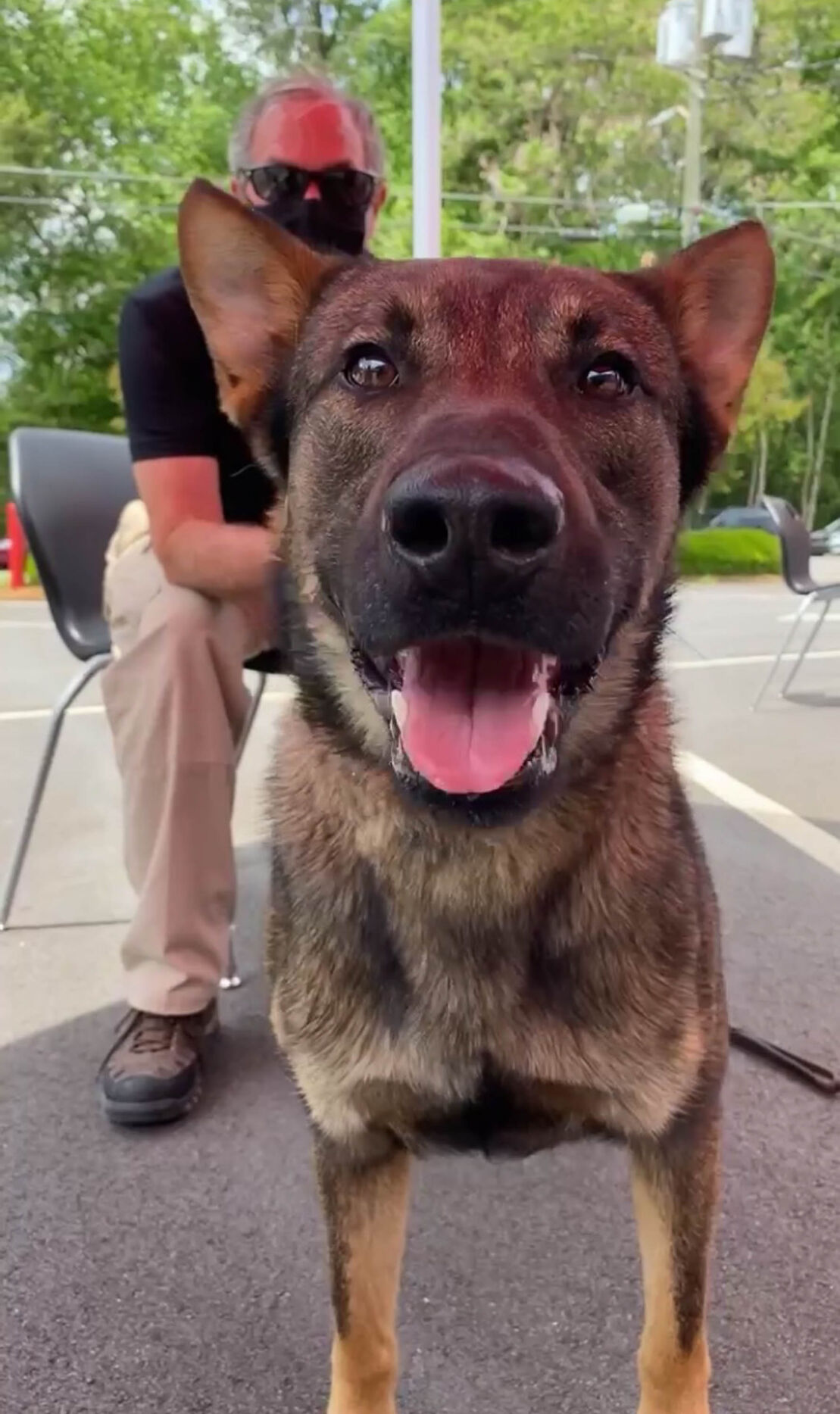 Lord the K9.jpg